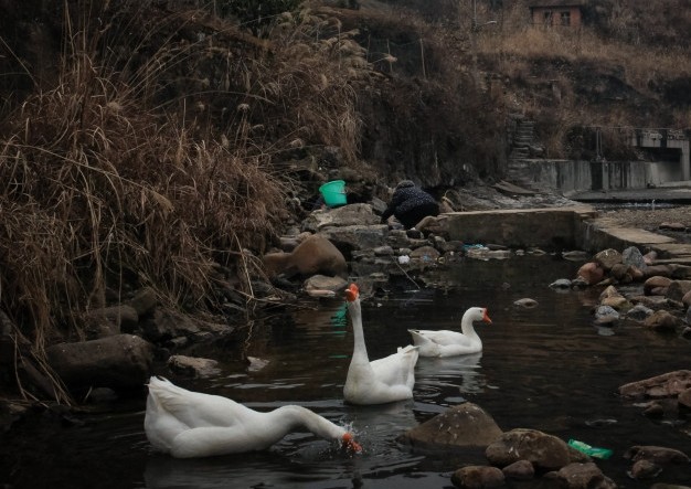ϴȫֻ氲װ